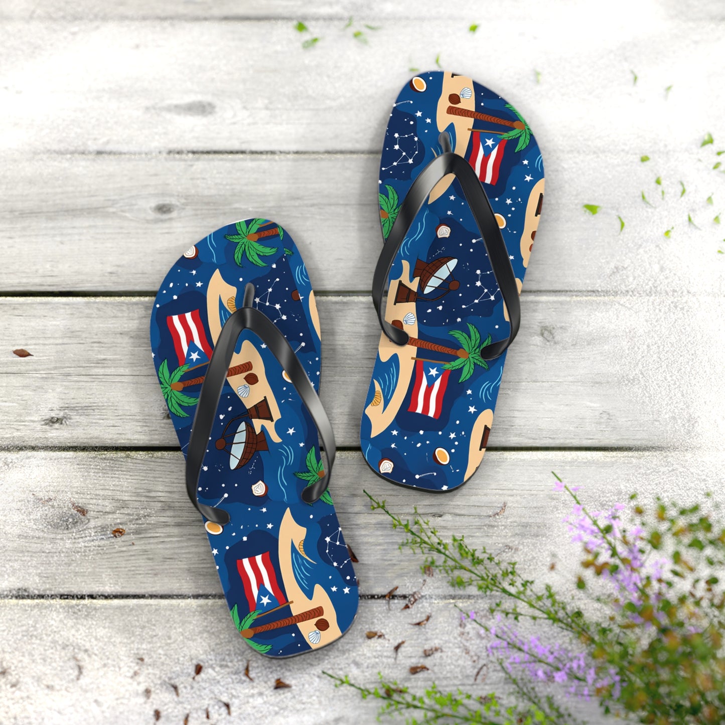 Chanclas: Observatorio de estrellas de playa de Puerto Rico