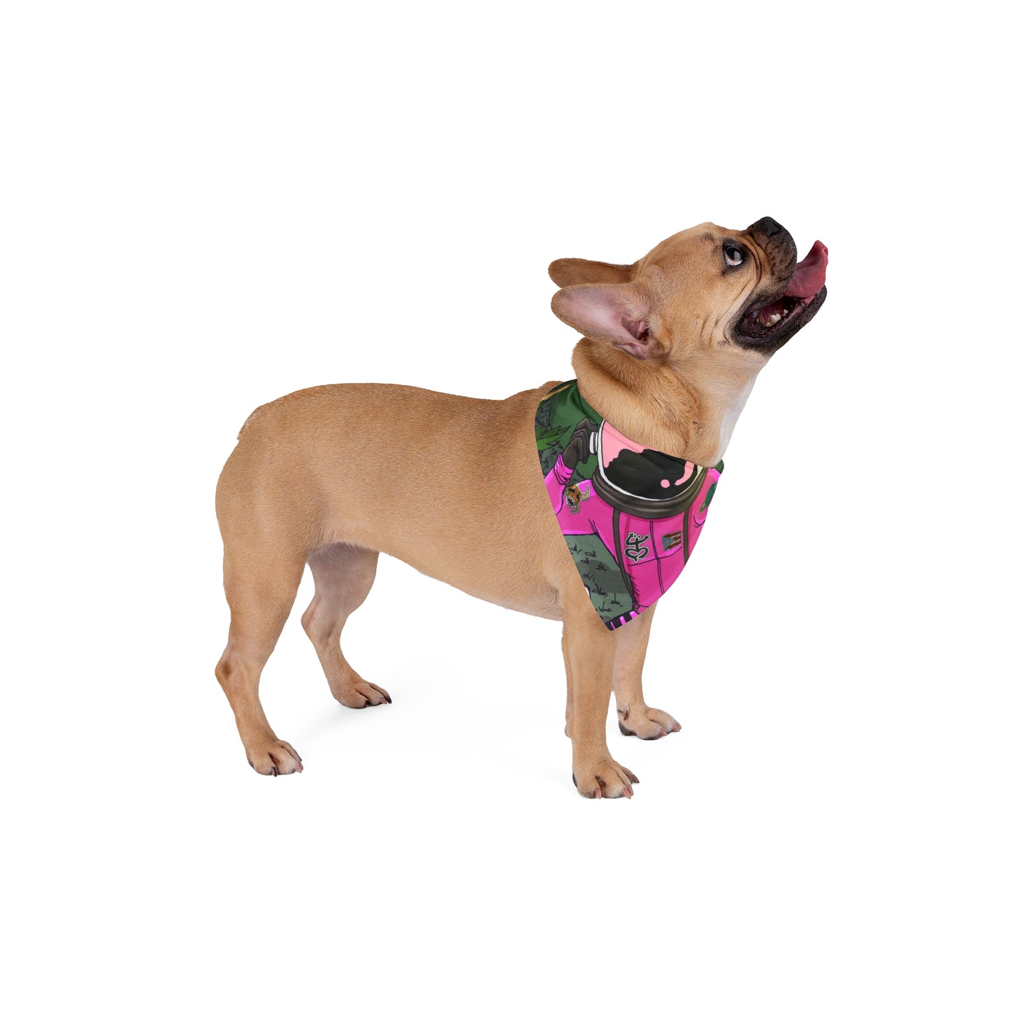 Bandana para mascotas Cozmic