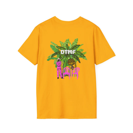 DTMF con Pito el coquí