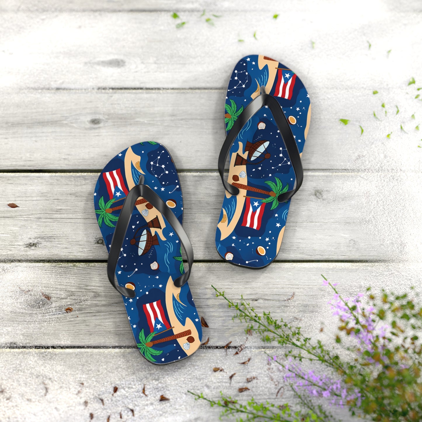 Chanclas: Observatorio de estrellas de playa de Puerto Rico
