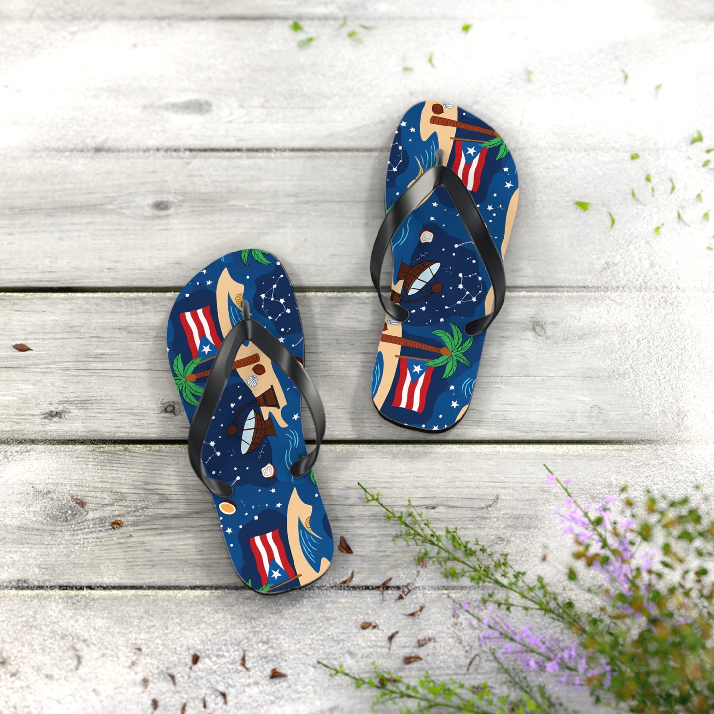 Chanclas: Observatorio de estrellas de playa de Puerto Rico