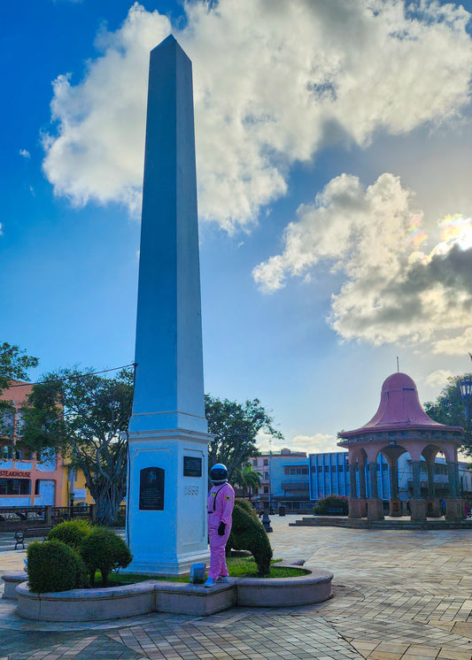 Arecibo: History, Science, and Culture