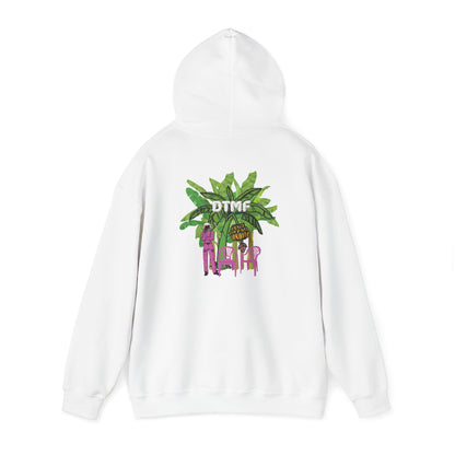 DTMF Cozmic Hoodie